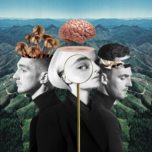 Clean Bandit - Symphony